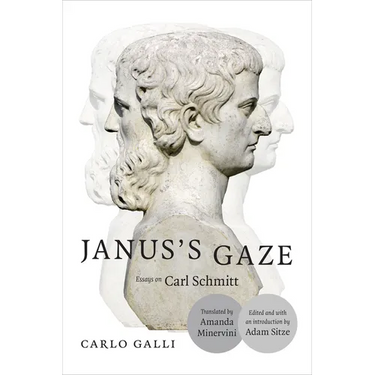 Janus's Gaze: Essays on Carl Schmitt