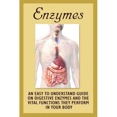 Enzymes: An Easy To Understand Guide On Digestive Enzymes And The Vital Functions They Perform In Your Body