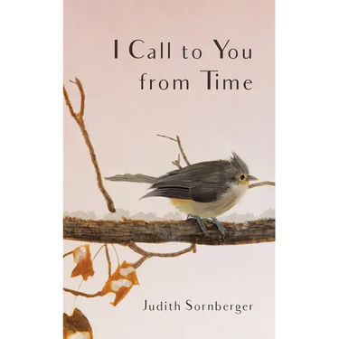 I Call to You from Time