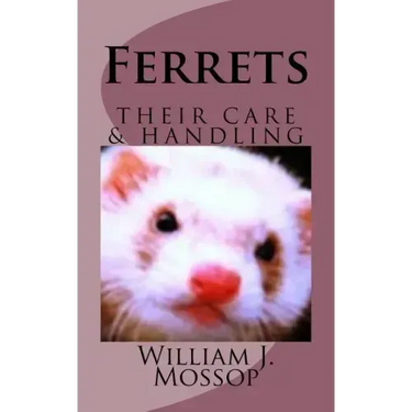 Ferrets: Their Care & Handling