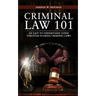 Criminal Law 101: An Easy To Understand Guide Through Florida Criminal Laws