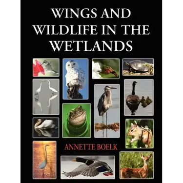 Wings and Wildlife in the Wetlands