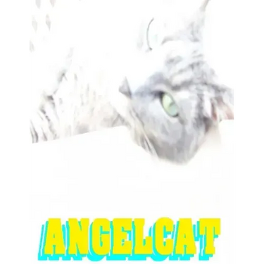 Angel Cat: Anime Manga Comic Book Ghost Soul Angel Heaven War Battle Good vs Evil Teenager Cat
