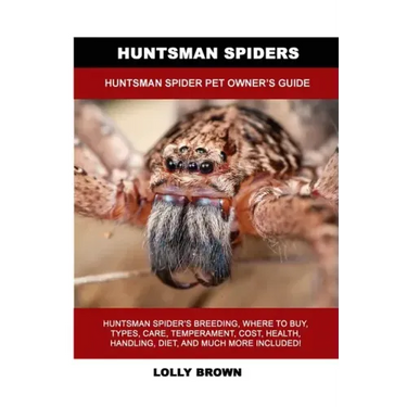 Huntsman Spiders: Huntsman Spider Pet Owner's Guide