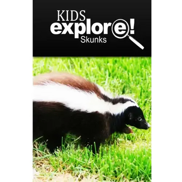 Skunks - Kids Explore: Animal books nonfiction - books ages 5-6