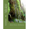 Celtic Grace: Thin Places: Advent Poems, Meditations