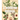 A Modern Herbal (Volume 1, A-H): The Medicinal, Culinary, Cosmetic and Economic Properties, Cultivation and Folk-Lore of Herbs, Grasses, Fungi, Shrubs
