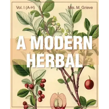 A Modern Herbal (Volume 1, A-H): The Medicinal, Culinary, Cosmetic and Economic Properties, Cultivation and Folk-Lore of Herbs, Grasses, Fungi, Shrubs