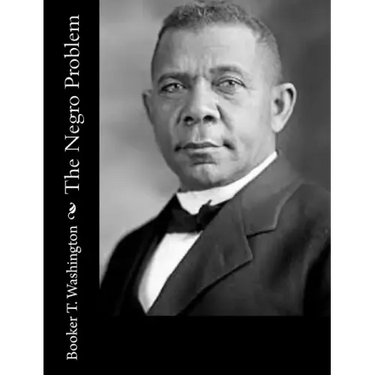 The Negro Problem