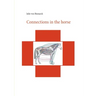 Connections in the horse