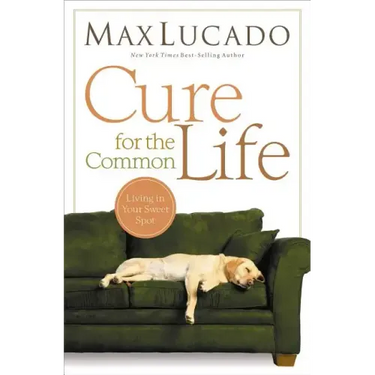 Cure for the Common Life: Living in Your Sweet Spot