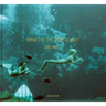 What Did the Deep Sea Say