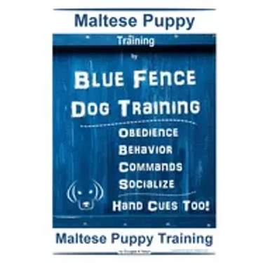 Maltese Puppy Training By Blue Fence Dog Training, Obedience - Behavior - Commands - Socialize - Hand Cues Too! Maltese Puppy Training