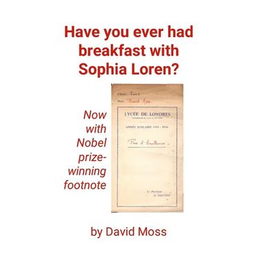 Have you ever had breakfast with Sophia Loren?: An intelligent artifice