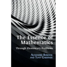 The Essence of Mathematics Through Elementary Problems