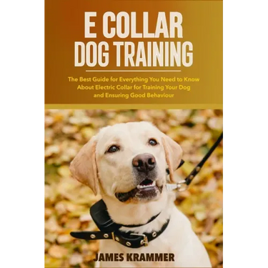 E Collar Dog Training: The Best Guide for Everything You Need to Know About Electric Collar for Training Your Dog and Ensuring Good Behaviour