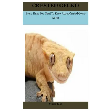 Crested Gecko: Every Thing You Need To Know About Crested Gecko As Pet