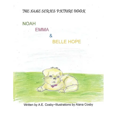 The Name Series Picture Book: Noah, Emma & Belle Hope