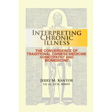 Interpreting Chronic Illness: : The Convergence of Traditional Chinese Medicine, Homeopathy, and Biomedicine