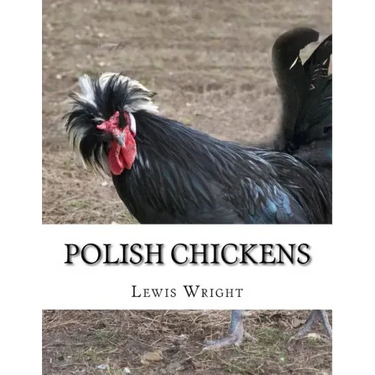 Polish Chickens: From The Book of Poultry