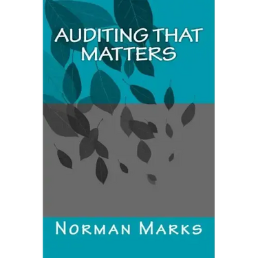 Auditing that matters