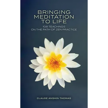 Bringing Meditation to Life: 108 Teachings on the Path of Zen Practice