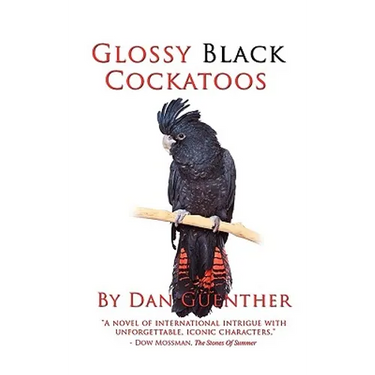 Glossy Black Cockatoos