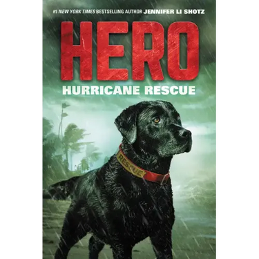 Hero: Hurricane Rescue