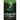 Ghost in Trouble