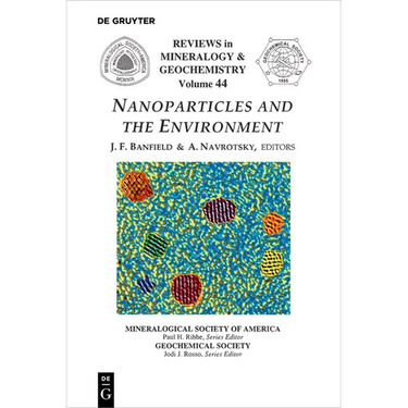 Nanoparticles and the Environment