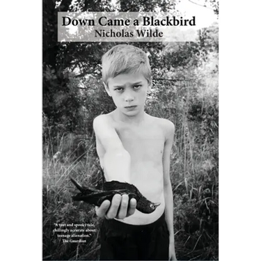 Down Came a Blackbird