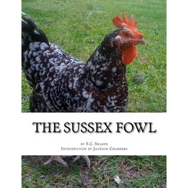 The Sussex Fowl: The History and Breeding of Sussex Chickens