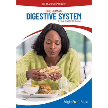 The Human Digestive System