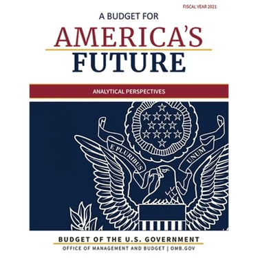 Budget of the United States, Analytical Perspectives, Fiscal Year 2021: A Budget for America's Future