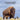 Wyoming Animals and Mammals Wildlife Book: Great Wyoming Animals book with Lifelike Images and Fun Facts