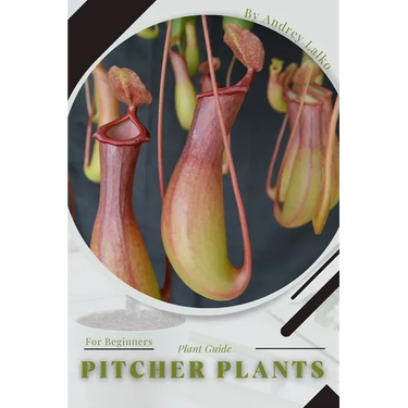 Pitcher Plants: Plant Guide