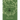 Daily Druid Self-Care Journal