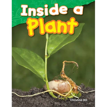 Inside a Plant