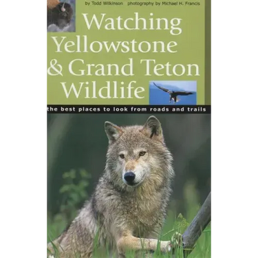 Watching Yellowstone & Grand Teton Wildlife
