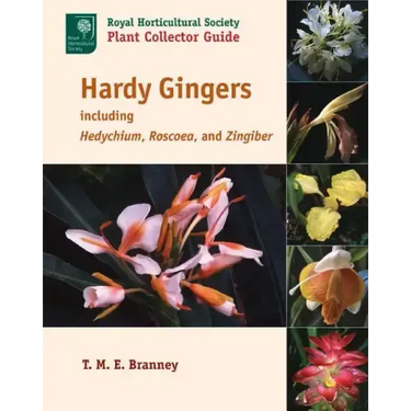 Hardy Gingers: Including Hedychium, Roscoea, and Zingiber