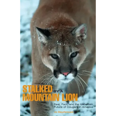 Stalked by a Mountain Lion: Fear, Fact, And The Uncertain Future Of Cougars In America