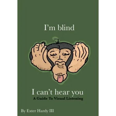 I'm Blind I Can't Hear You: A Guide to Visual Listening