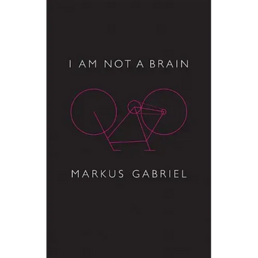 I Am Not a Brain: Philosophy of Mind for the 21st Century