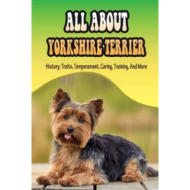 All About Yorkshire Terrier: History, Traits, Temperament, Caring, Training, And More: At What Age Can You Start Training A Yorkie Puppy?