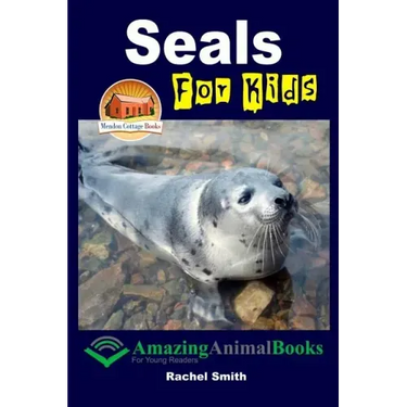 Seals For Kids