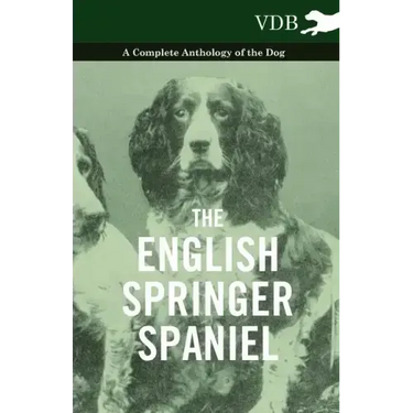 The English Springer Spaniel - A Complete Anthology of the Dog