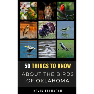 50 Things to Know About Birds in Oklahoma: Birding in the Oklahoma