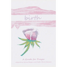 Birth: A Guide for Prayer