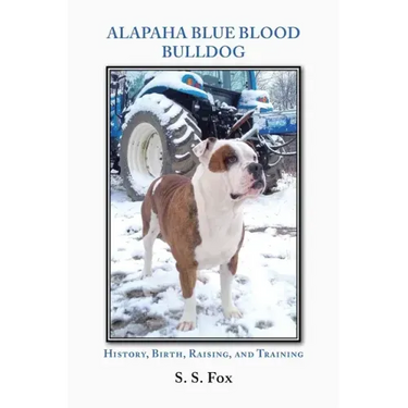 Alapaha Blue Blood Bulldog: History, Birth, Raising, and Training