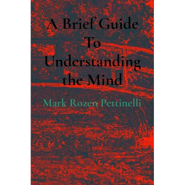 A Brief Guide To Understanding the Mind